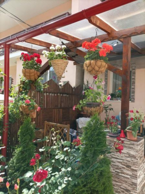 Casa Puiu